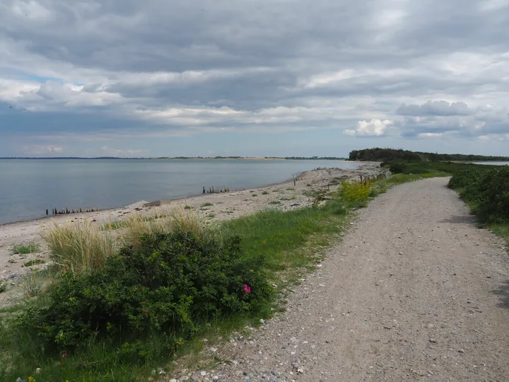 Halshuisene + Enebaerodde Beach (Denemarken)